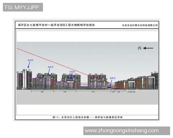 武汉篮球队在钻石联赛中的表现分析与状态评估