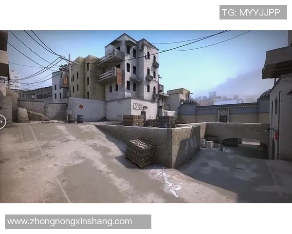 聚焦CS_GO:BLG的战术话题